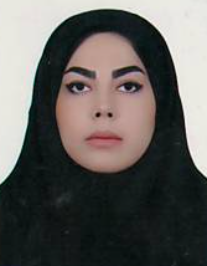 مائده دلاوری