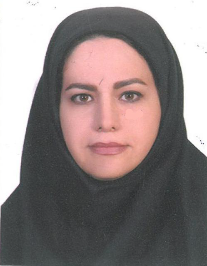 صدف صدر