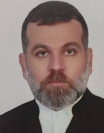 حمید رضا شیخ زاده