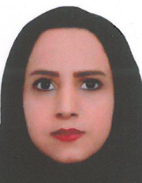 ساحل صفائی