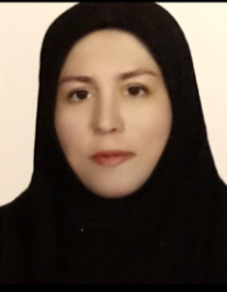 پریسا مجذوب حسینی