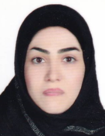 مریم ارزانی بیرگانی