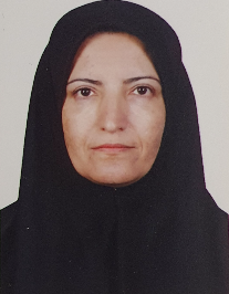 سعیده مدبر