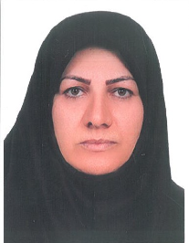 صغری احمدحسینی