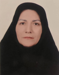 میترا دولت مدنی