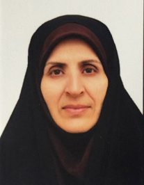 سیده اکرم محمدی