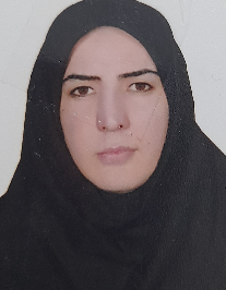 صغرا بیگم شاهمرادی