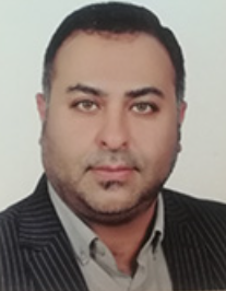 هادی میری