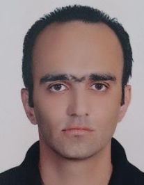 محمد رضا شیخ الاسلامی شلمانی