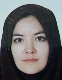 زینت افضلی مهر