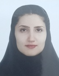 سارا رجبی