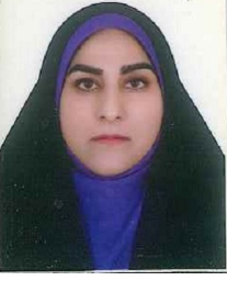 طیبه رکن آبادی