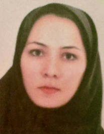اکرم افضلی ننیز