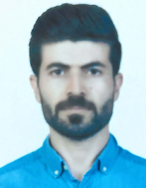 وحید رجبی
