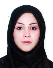 شیلان کاملی