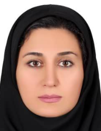 مژگان آسایش خواه ناو