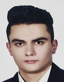 هادی فهیمی
