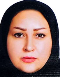 سولماز لطفی آذر