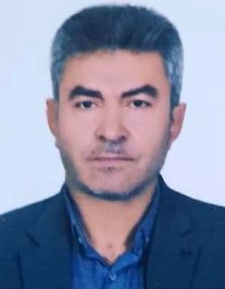 محمد علی زارعی