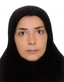 حکیمه صفاشور