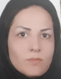 فاطمه نظری