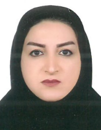 لیلا ملکی قره آغاجی