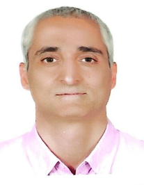 مهدی شمسی جی