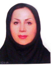 مینا سلگی