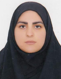 سیده مهلا رضوی