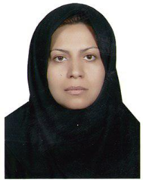 افروز حمیدی