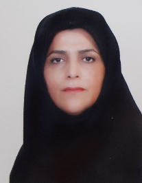 مهین شکری