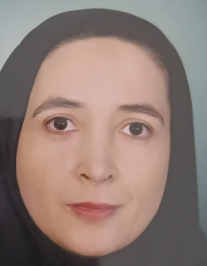 پریسا سلیمانی