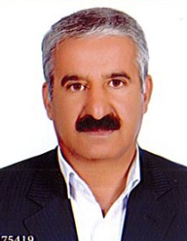محمد شاهین فر