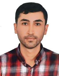 محمد ملاولی