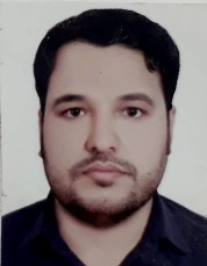 محمدجواد شول