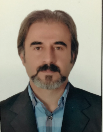 محمدرضا فیضیان