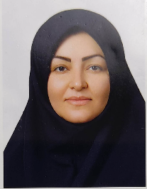 گیتا حسین پور