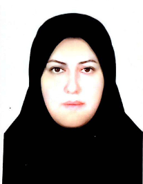 مریم خاکی