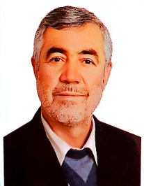 سید رضا سید حسینی