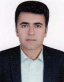 محمدرضا رزمی