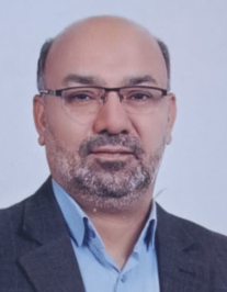 محمد پورگنجی