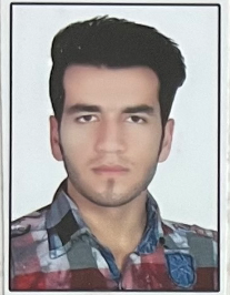 هادی ملکی