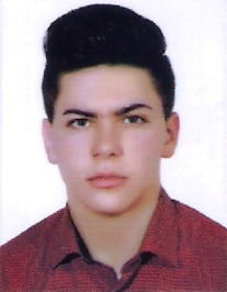 امیر محمد عبداللهی دهکردی