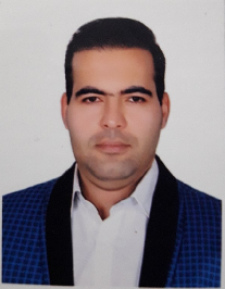محمدمهدی ترکی