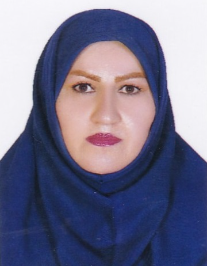 سیده سکینه میرحسینی داخل