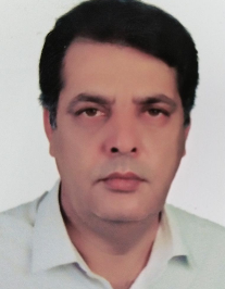 علی حسنی