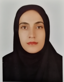 راضیه بگمرادی