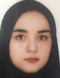 مهروز روزبه
