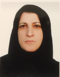 نسرین خلیلی