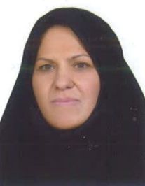 نرگس صبوری